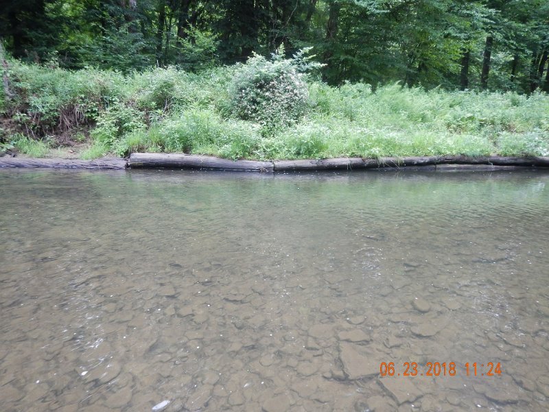 -Kettle Valley-048-.jpg - Those who fish the Project will recognize the logs as a holding place for lots of fish.